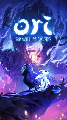 is ori and the will of the wisps multiplayer, or is it a solo journey through a beautifully tragic world?